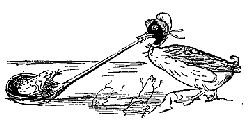 Edward Lear's illustration from 'The Dolomphious Duck', showing a runcible spoon