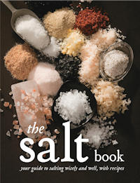 The cover of 'The Salt Book'